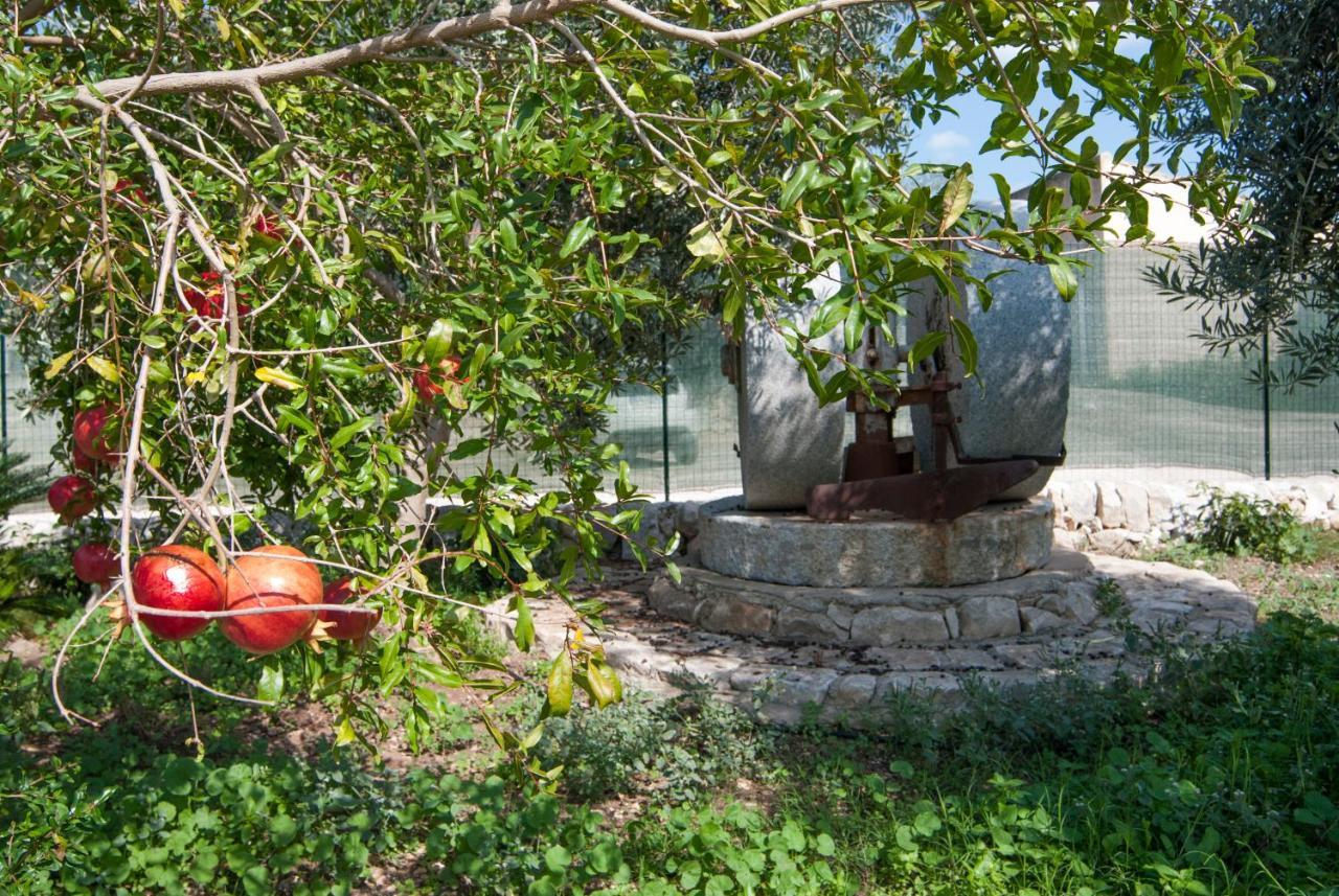 Agriturismo Al Casale Donnafugata Exteriör bild